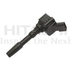 HITACHI Tennspole 2504052