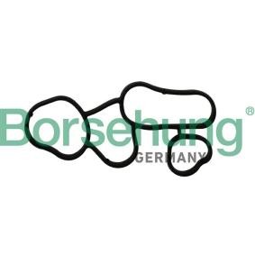 Borsehung Ölfiltergehäuse-Dichtung B10621