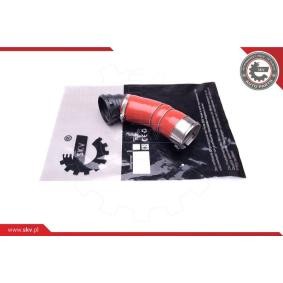 ESEN SKV Ahdinletku 43SKV247