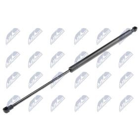 Spletna trgovina z NTY Plinska vzmet, Prostor za prtljago / prtljaznik AE-AU-020