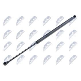 NTY Tailgate strut AE-FT-016