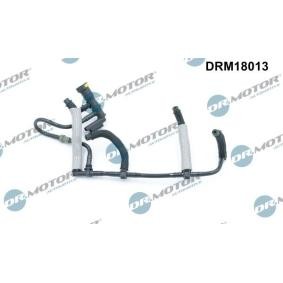 Pirkti DR.MOTOR AUTOMOTIVE Degalų magistralė DRM18013