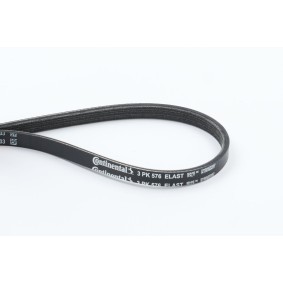 CONTITECH Multireim 576mm, 3 3PK576 ELAST