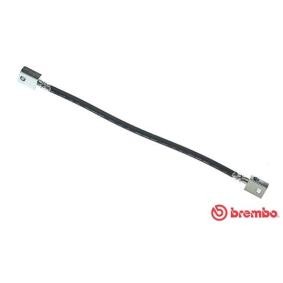 BREMBO Remslang T 56 005