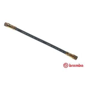 BREMBO Remslang T 68 019