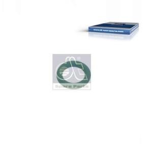 DT Spare Parts Dichtring 4.20884