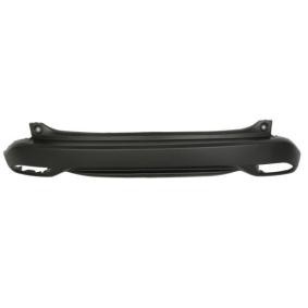 BLIC 5506-00-2950950P bag, sort