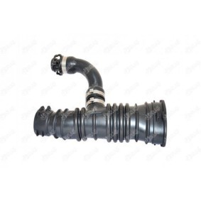 IBRAS Sugeslange, luftfilter 19906