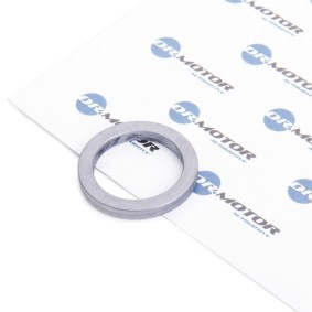 Spletna trgovina z DR.MOTOR AUTOMOTIVE Tesnilo, oljna crpalka DRM0828