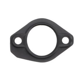 ENGITECH Tetning, innsprøytningspumpe ENT220045