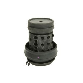 REINHOCH Suporte, motor RH11-0110