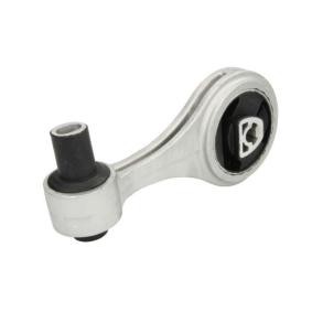 Pirkti REINHOCH Variklio montavimas RH11-1040