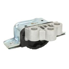 Pirkti REINHOCH Variklio montavimas RH11-1077