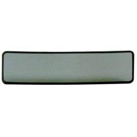 CARPOINT Espejo retrovisor interior 2437829