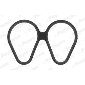 PAYEN Tetning, innsugningsmanifold JD6161