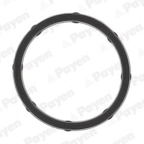 PAYEN Tetning, innsugningsmanifold JD6172