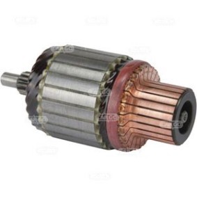 HC-Cargo Cojinete 231827