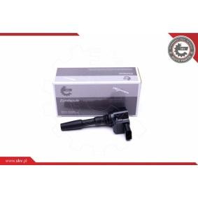 ESEN SKV Bobine d'allumage 03SKV287