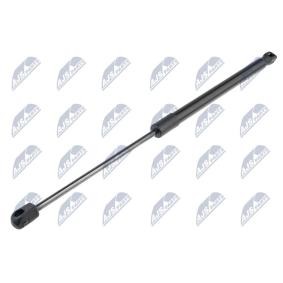NTY Tailgate strut 380N, 454 mm AE-HY-036
