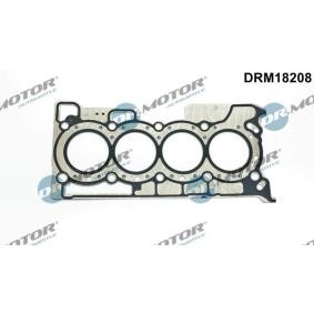 Pirkti DR.MOTOR AUTOMOTIVE Tarpiklis, cilindro galva DRM18208
