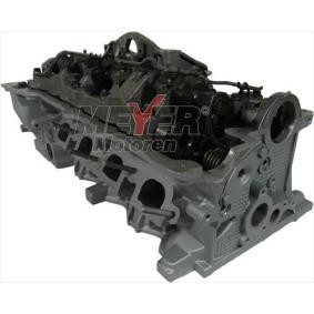 Купить MEYER MOTOREN Головка цилиндра 023028650