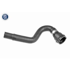 VAICO Jäähdyttimen letku V10-5731