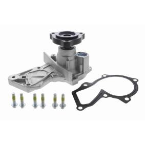 VAICO Vannpumpe V25-50042