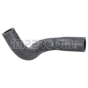 ORIGINAL IMPERIUM Radiateurslang 224541