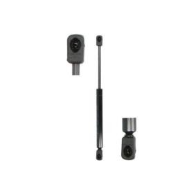 Spletna trgovina z Magnum Technology Plinska vzmet MGS059