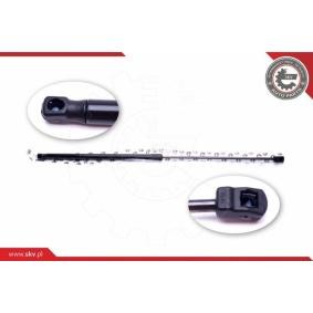 ESEN SKV Vérin de capot 52SKV041