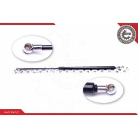 ESEN SKV Kaasujousi, tavaratila 52SKV397