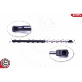 ESEN SKV Tailgate strut 52SKV407