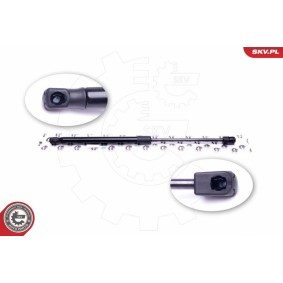 ESEN SKV Gasveer achterklep 52SKV512