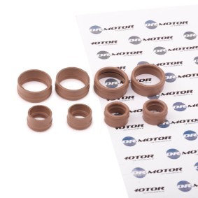 Spletna trgovina z DR.MOTOR AUTOMOTIVE Komplet za popravilo, klimatska naprava DRM0835