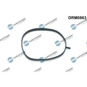 Купить DR.MOTOR AUTOMOTIVE Прокладка, корпус впускного коллектора DRM0863