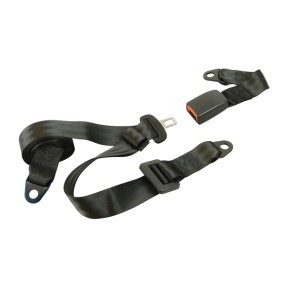 CARPOINT Safety Belt 1434607