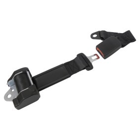 CARPOINT Safety Belt 1434603