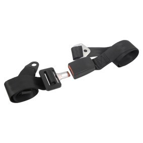 CARPOINT Safety Belt 1434602