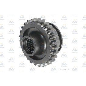 AM Gears Zahnrad, Getriebeeingangswelle 12834