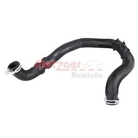 METZGER Radiatorslange 2421166