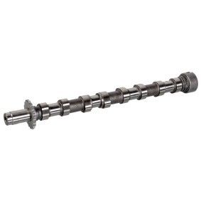FEBI BILSTEIN Camshaft 176294