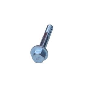 MAXGEAR Sturzkorrekturschraube 49-5145