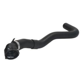 THERMOTEC Durite de refroidissement DWP165TT