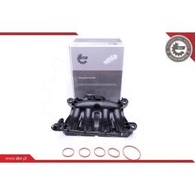 Купить ESEN SKV Модуль впускной трубы 49SKV045