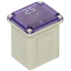 Spletna trgovina z RESTAGRAF Skatla z varovalkami 17351