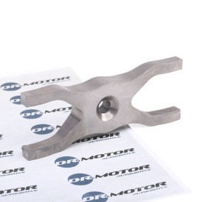 Spletna trgovina z DR.MOTOR AUTOMOTIVE Drzalo, ventil za vbrizgovanje DRM01067