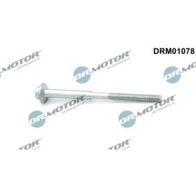 Spletna trgovina z DR.MOTOR AUTOMOTIVE Vijak, drzalo vbrizgalne sobe DRM01078
