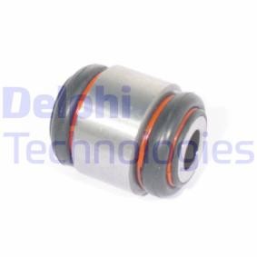 DELPHI Feste, styrestag TD213W