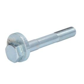 REINHOCH Perno de fijación, brazo oscilante RH15-0040