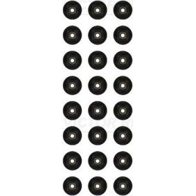 REINZ Dichtungssatz, Ventilschaft FPM (Fluor-Kautschuk) 12-19295-02